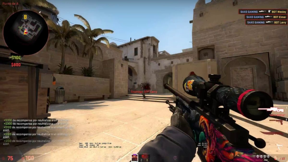 csGO 實際遊戲畫面